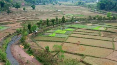 Wat Ban Wen rice fields in Nan province, Thailand
