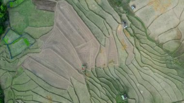 Wat Ban Wen rice fields in Nan province, Thailand