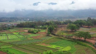 Aerial views of Pua and the rice fields in Nan province, Thailand