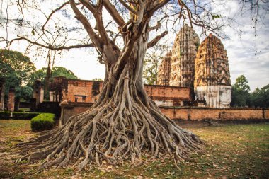 Wat si Sawai tapınağı Sukhothai tarihi parkı, Tayland