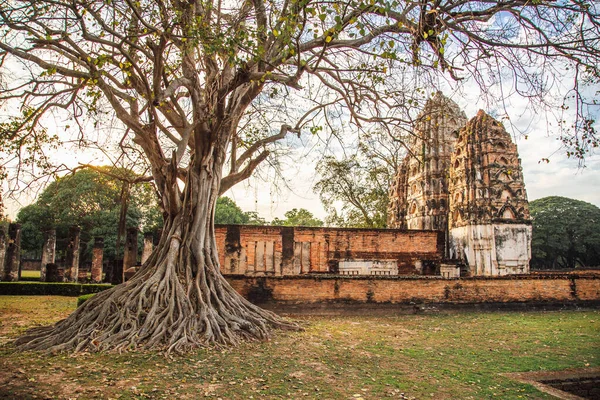 Templo de Wat si Sawai en el parque histórico de Sukhothai, Tailandia — Foto de Stock