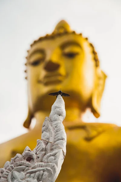 Phrae Tayland 'daki Wat Na Khuha Tapınağı — Stok fotoğraf