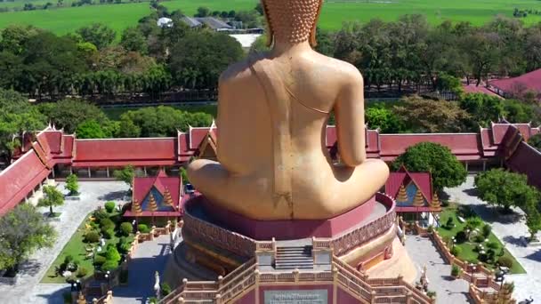 Veduta aerea del tempio di Wat Pikul Thong Phra Aram Luang o Wat Luang Por Pae con Buddha gigante, a Sing Buri, Thailandia — Video Stock