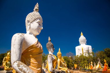 Geniş Buda heykelleriyle dekoratif tapınak, cehennemdeki yaşamı ve yiyecek pazarını tasvir eden acımasız heykeller.