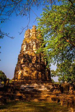 Wat Mahathat tapınağı. Tayland 'ın Phra Nakhon Si Ayutthaya kentindeki bodhi ağacında kapana kısılmış kafa heykeli. Yüksek kalite fotoğraf
