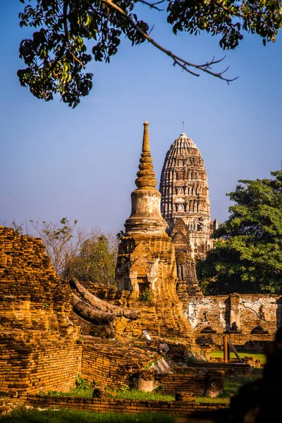 Wat Mahathat Templo Com Cabeça Estátua Preso Árvore Bodhi Phra — Fotografia de Stock