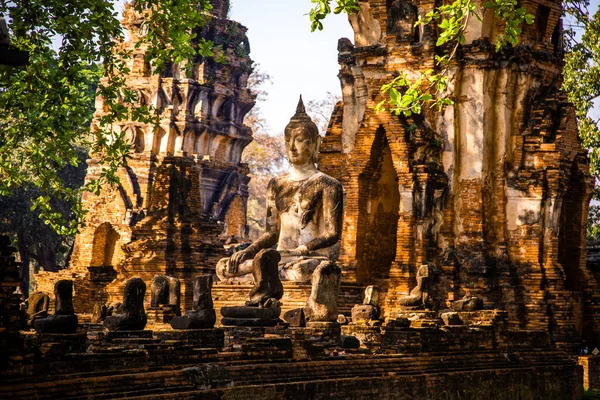 Templo Wat Mahathat Con Estatua Cabeza Atrapada Árbol Bodhi Phra — Foto de Stock