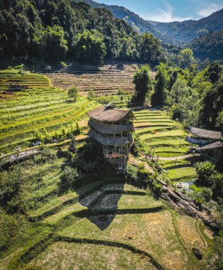 Chiang Mai, Tayland 'daki Doi Inthanon Ulusal Parkı' ndaki dev Bambu Kulübesi.