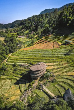 Chiang Mai, Tayland 'daki Doi Inthanon Ulusal Parkı' ndaki dev Bambu Kulübesi.