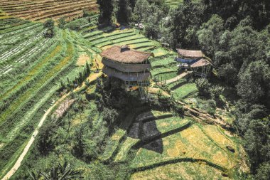 Chiang Mai, Tayland 'daki Doi Inthanon Ulusal Parkı' ndaki dev Bambu Kulübesi.