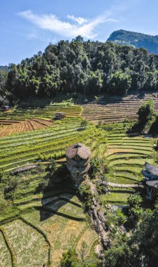 Chiang Mai, Tayland 'daki Doi Inthanon Ulusal Parkı' ndaki dev Bambu Kulübesi.