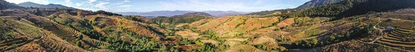 Ban Pong Piang Rice Terraces Baan Pong Pieng Doi Inthanon — Stock Photo, Image