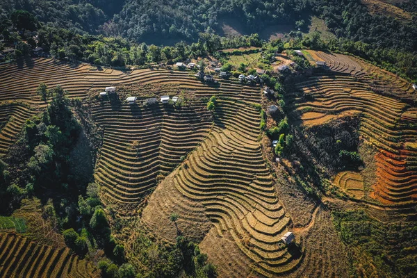 泰国清迈Doi Inthanon国家公园的Ban Pong Piang稻田或Baan Pong Pieng — 图库照片