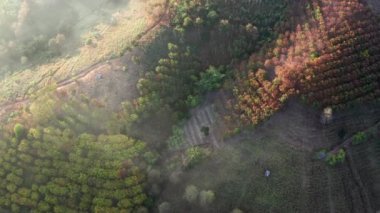 Gün doğumunda Mae Chaem, Doi Inthanon Ulusal Parkı, Chiang Mai, Tayland, Güney Doğu Asya 'da sis varken Ban Bon Na Viewpoint