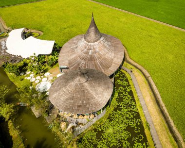 Tayland Nakhon Pathom 'daki pirinç tarlalarındaki Tayland Kafe manzarası