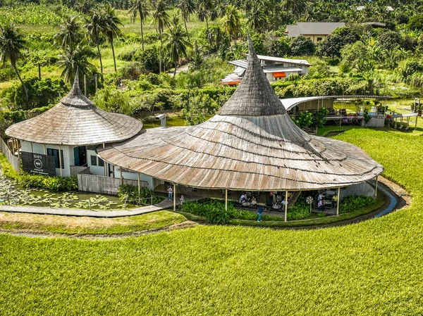 Tayland Nakhon Pathom Daki Pirinç Tarlalarındaki Tayland Kafe Manzarası — Stok fotoğraf