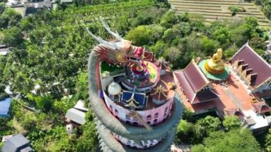 Nakhon Pathom, Tayland, Güney Asya 'daki Ejder Tapınağı Wat Sam Phran' ın hava görüntüsü.