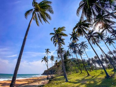 Tayland, Khiri Han 'daki Hat Thang Sai Plajı. Yüksek kalite fotoğraf