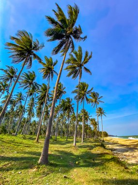 Tayland, Khiri Han 'daki Hat Thang Sai Plajı. Yüksek kalite fotoğraf