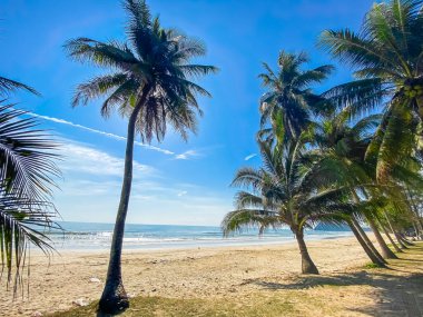 Koşan Boğa Sahili veya Chumphon, Tayland 'da Şapka Thung Wua Laen, Güney Doğu Asya