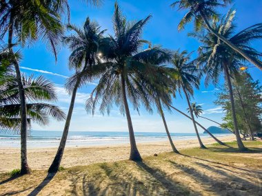 Koşan Boğa Sahili veya Chumphon, Tayland 'da Şapka Thung Wua Laen, Güney Doğu Asya