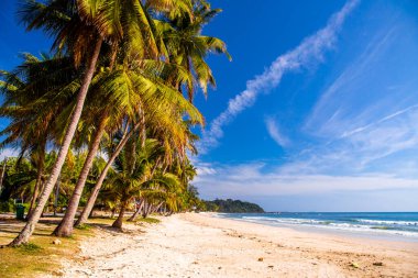 Koşan Boğa Sahili veya Chumphon, Tayland 'da Şapka Thung Wua Laen, Güney Doğu Asya