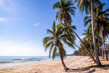 Koşan Boğa Sahili veya Chumphon, Tayland 'da Şapka Thung Wua Laen, Güney Doğu Asya