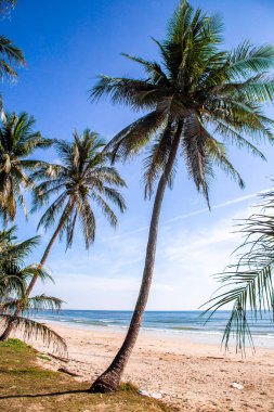 Koşan Boğa Sahili veya Chumphon, Tayland 'da Şapka Thung Wua Laen, Güney Doğu Asya