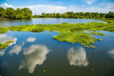 Chumphon, Tayland 'daki Nong Yai Tahta Köprüsü, Güney Doğu Asya