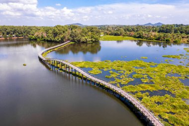 Chumphon, Tayland 'daki Nong Yai Tahta Köprüsü, Güney Doğu Asya