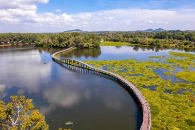 Chumphon, Tayland 'daki Nong Yai Tahta Köprüsü, Güney Doğu Asya
