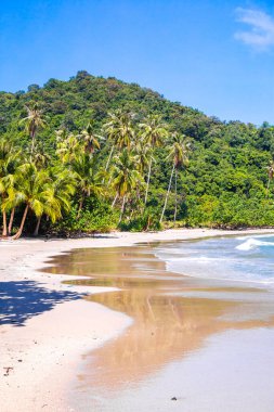 Sairee Sahili ya da Chumphon, Tayland 'daki Sai Ri Sahili. Yüksek kalite fotoğraf