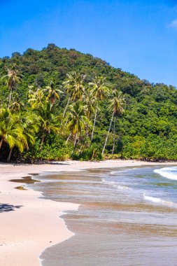 Sairee Sahili ya da Chumphon, Tayland 'daki Sai Ri Sahili. Yüksek kalite fotoğraf