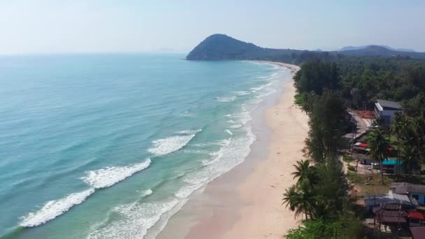 Running Bull Beach Oder Hat Thung Wua Laen Chumphon Thailand — Stockvideo