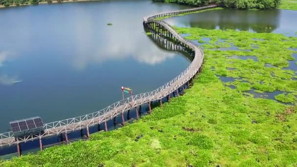 Nong Yai Wooden Bridge Chumphon Thaiföld Délkelet Ázsia — Stock videók
