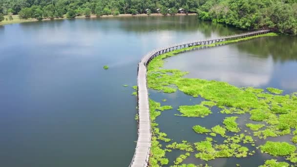 Nong Yai Holzbrücke Chumphon Thailand Südostasien — Stockvideo