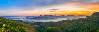 Chumphon, Tayland 'da Doi Tapang yakınlarında pirinç terasları.