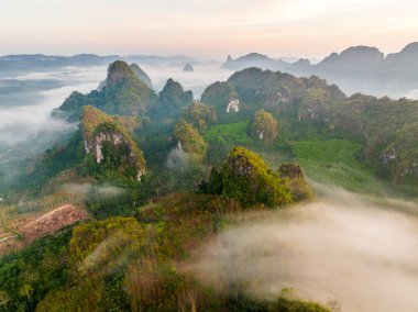 Chumphon, Tayland 'da Doi Tapang yakınlarında pirinç terasları.