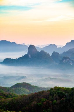 Chumphon, Tayland 'da Doi Tapang yakınlarında pirinç terasları.