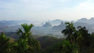 Rice terraces near Doi Tapang in Chumphon, Thailand