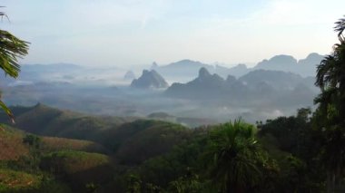 Chumphon, Tayland 'da Doi Tapang yakınlarında pirinç terasları.