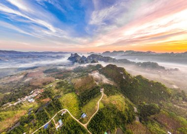 Chumphon, Tayland 'da Doi Tapang yakınlarında pirinç terasları.