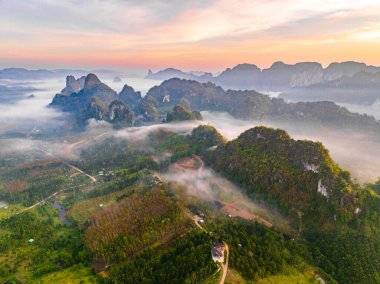 Chumphon, Tayland 'da Doi Tapang yakınlarında pirinç terasları.