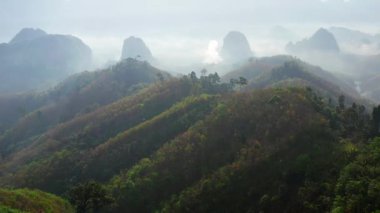 Rice terraces near Doi Tapang in Chumphon, Thailand