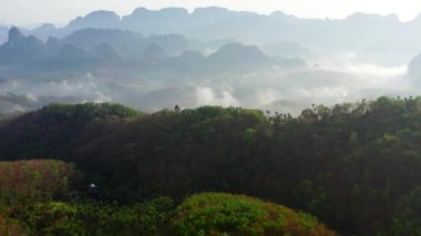 Chumphon, Tayland 'da Doi Tapang yakınlarında pirinç terasları.