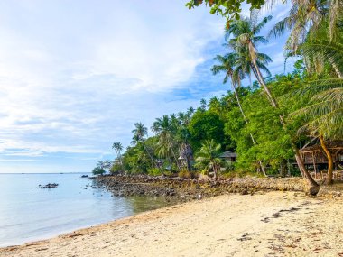 Salad beach or Haad Salad in Koh Phangan, Thailand, south east asia