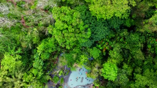 Ban Nam Rat Watershed Forest Surat Thani Ταϊλάνδη Νοτιοανατολική Ασία — Αρχείο Βίντεο