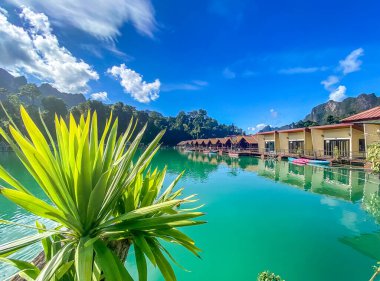 Surat Thani, Tayland 'daki Khao Sok Ulusal Parkı, Güney Doğu Asya