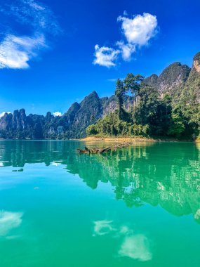 Surat Thani, Tayland 'daki Khao Sok Ulusal Parkı, Güney Doğu Asya