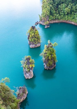Surat Thani, Tayland 'daki Khao Sok Ulusal Parkı, Güney Doğu Asya